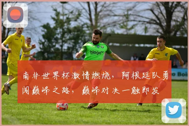 南非世界杯激情燃烧，阿根廷队勇闯巅峰之路，巅峰对决一触即发