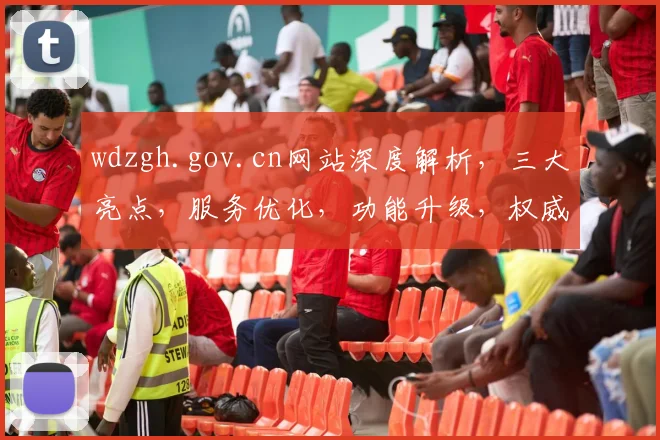 wdzgh.gov.cn网站深度解析，三大亮点，服务优化，功能升级，权威发布，必看