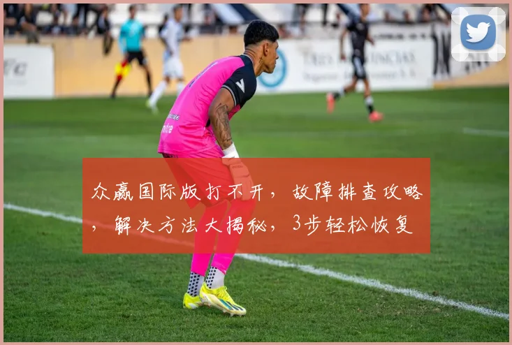 众赢国际版打不开，故障排查攻略，解决方法大揭秘，3步轻松恢复