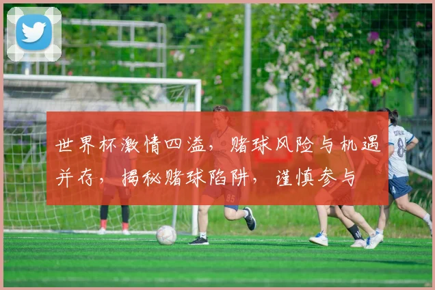 世界杯激情四溢，赌球风险与机遇并存，揭秘赌球陷阱，谨慎参与